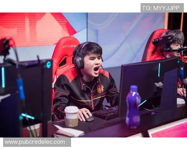 FPX在精英赛中的比赛经验分析与表现评估